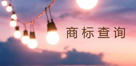 商标进度查询 商标进度查询