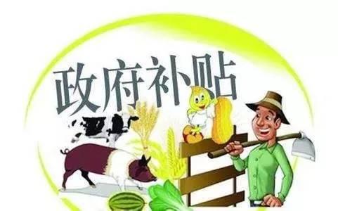 小升规 小升规