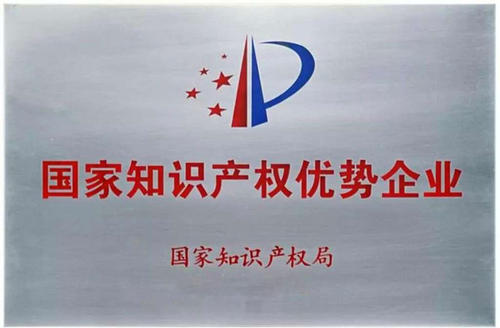 知识产权优势企业资助