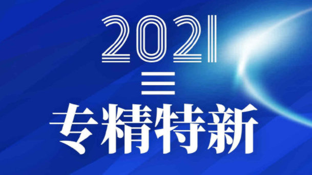 “专精特新”中小企业公共服务示范平台遴选 “专精特新”中小企业公共服务示范平台遴选