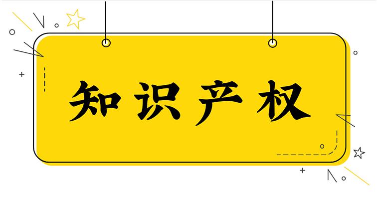 知识产权 知识产权