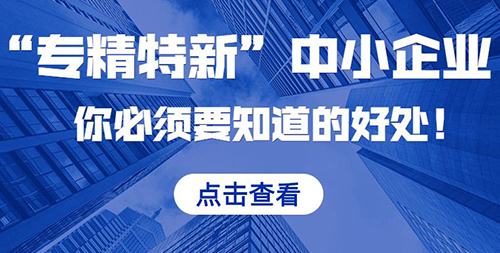 专精特新企业 专精特新企业