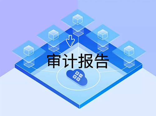 高新审计报告 高新审计报告