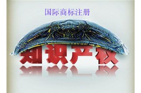 国际商标注册哪家好？？以及国际商标注册所有知识点??！【鼎智知识产权】