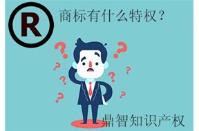 国际商标注册成功后，可享有8中特权！