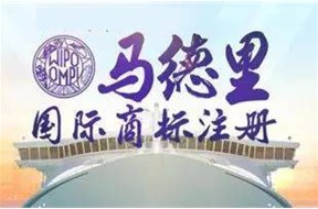 ?国际商标注册助力企业“出?！? /></a>
                        </div>
                        <div   id=