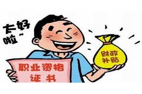 申请政府补贴项目需要做哪些？？？