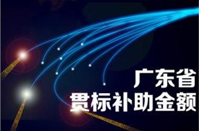 ? 广东省知识产权贯标补贴政策
