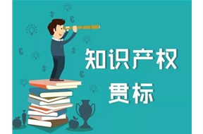 ?小企业不适合知识产权贯标？鼎智分析给你看！