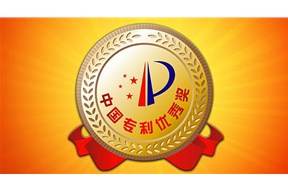 2020年深圳大鹏新区专利奖奖励项目申报指南