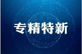 2020年深圳市专精特新中小企业遴选项目申报指南