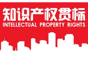 2020年深圳市知识产权贯标资助项目申报指南