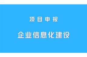 2020年深圳龙华区企业信息化建设资助申报指南