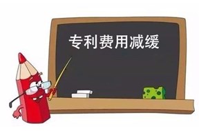 专利年费缴纳标准详细清单