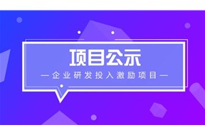 2019年深圳龙华区企业研发投入激励项目申报指南