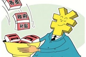 必看! 政府补贴申报技巧