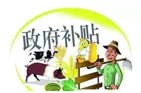 关于龙岗区2020年度和谐劳动关系企业认定申报指南