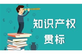 2020年深圳宝安区知识产权贯标奖励政策详情