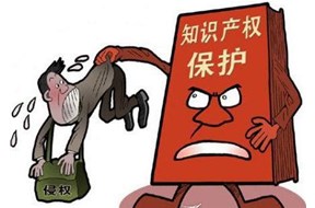 2020年深圳市知识产权维权项目资助申报指南