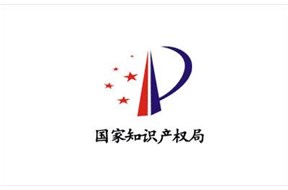 国家知识产权局官网公示的所有知识产权服务公司