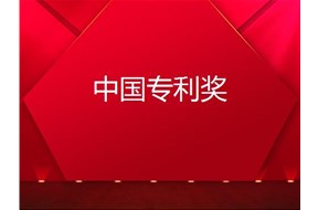 2020年深圳龙岗区专利奖奖励申报指南