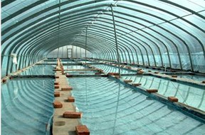 2021年东莞市渔业过冬棚补贴申报指南