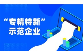 2021年国家级专精特新“小巨人”企业培育申报指南