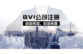 BVI公司注册都有哪些优势？