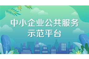 2021年深圳市国家中小企业公共服务示范平台认定申报指南