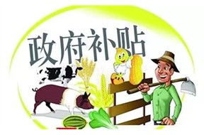 2021年深圳宝安区食用农产品快检点扶持补助申报指南