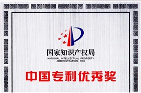 2021年深圳龙岗区知识产权获奖激励项目申报指南