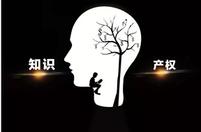 知识产权都有什么特点？