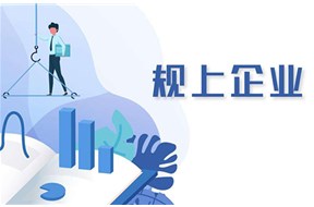 小升规的好处和坏处是什么？