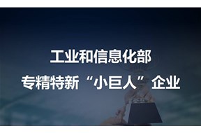 2022年专精特新小巨人企业的认定条件有哪些？