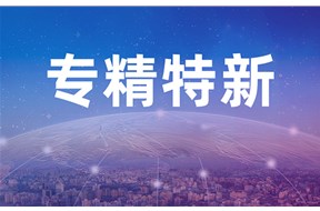 专精特新小巨人和重点小巨人的区别是什么？