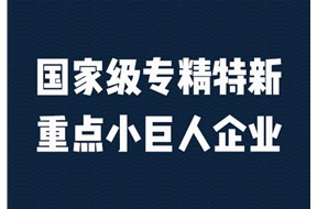 2022年国家级专精特新重点“小巨人”企业申报指南