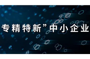 2022年东莞市专精特新中小企业申报条件