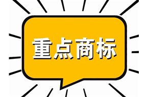 2022年广东省重点商标?；っ忌瓯ㄖ改? /></a>
                        </div>
                        <div   id=