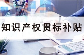 2022年深圳龙华区推行企业知识产权管理规范企业资助申报指南