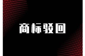 商标驳回复审理由怎么写?