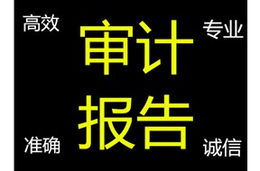 高新审计是什么意思？