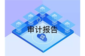 高新审计报告有哪些？