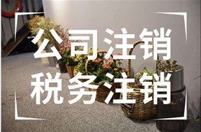 公司税务注销了还需要年报吗？
