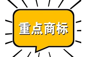2022年广东省重点商标?；っ忌瓯ń刂故奔? /></a>
                        </div>
                        <div   id=