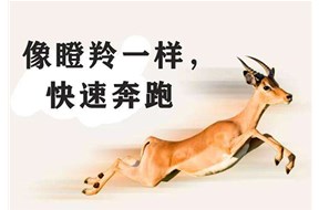 2022年深圳市瞪羚品牌认定申报指南