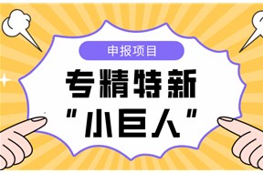 2023年深圳国家级专精特新小巨人企业认定申报指南