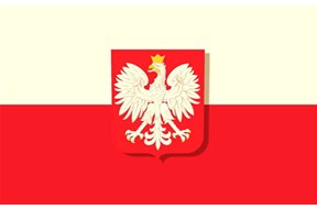 如何进行波兰专利申请？