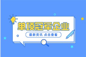 2024年深圳第二批市级制造业单项冠军企业认定申报指南