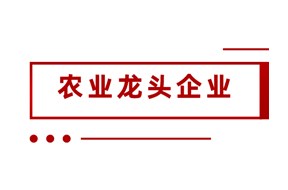 2024年深圳市级重点农业龙头企业认定申报指南