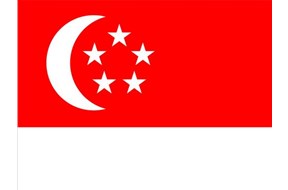 新加坡专利申请指南